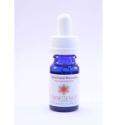 Añañuca Rosada – 30 ML